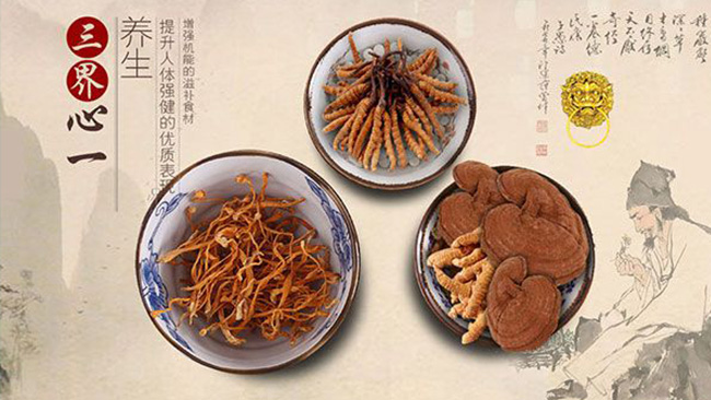 青藏特产专营店