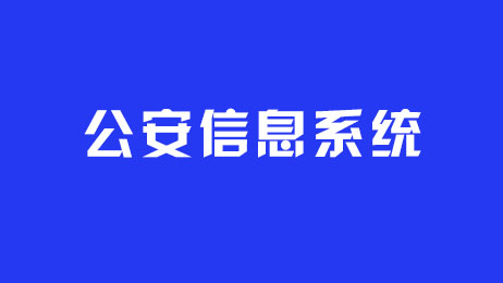 公安信息系统